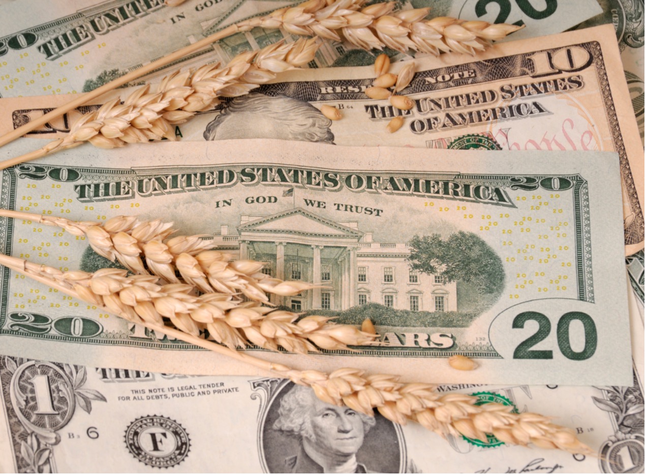 2022 Global Commodity Market Statistical Data List