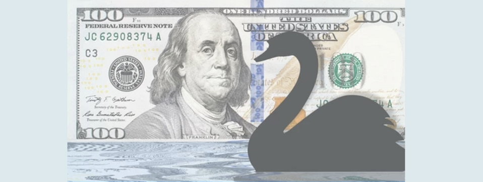 The Russian Black Swan Incident, the Critical Point of World Turbulence is Coming
