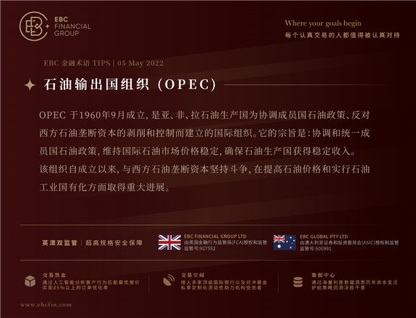 石油输出国组织（OPEC）