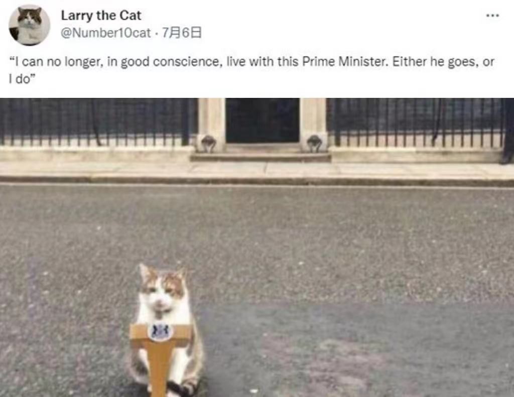 英国“第一猫”、首席捕鼠官拉里(Larry)