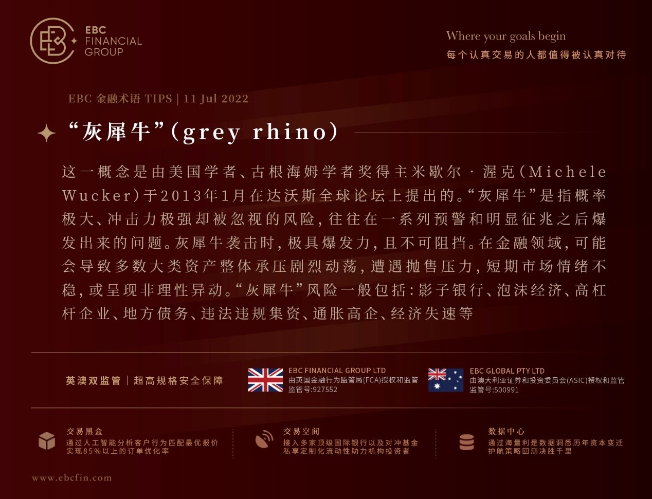 灰犀牛（grey rhino）