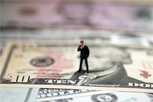 US dollars used for investment