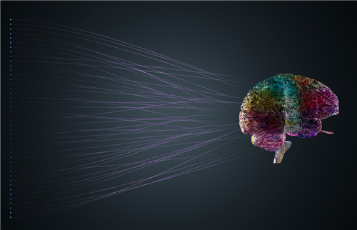 The brain of deep learning