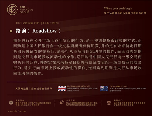 路演（Roadshow）