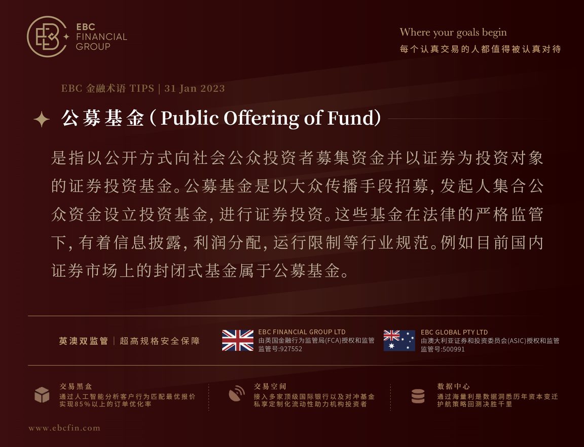 公募基金（Public Offering of Fund）