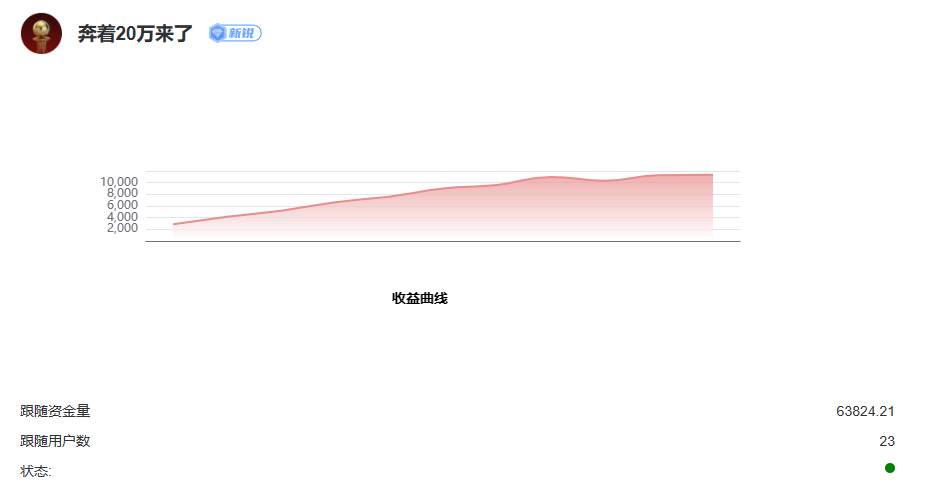 奔着20万来了收益曲线