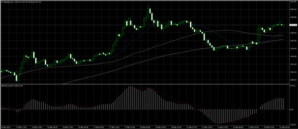 A good EA needs polishing, and a good trading tool also needs attention!