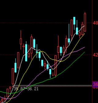 How to use the Mobile Moving Line (MA) in foreign exchange transactions?