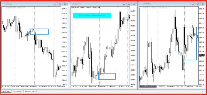 a schematic diagram of a jump formed by stopping and opening the market