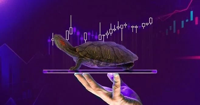 Turtle Trading Act