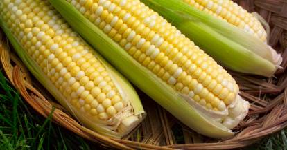 Corn