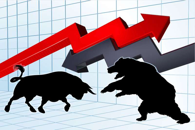 bulls and bears