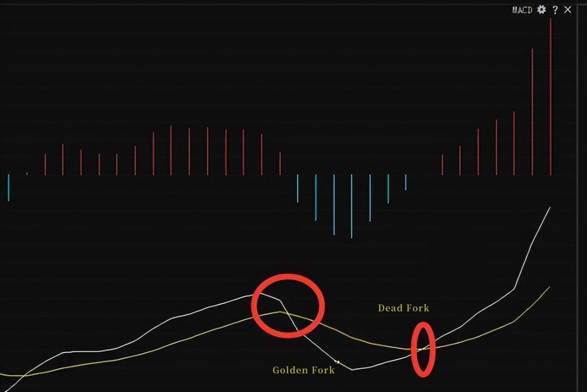 MACD Golden Fork Dead Fork