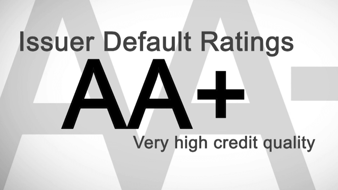 What are the international credit rating agencies?