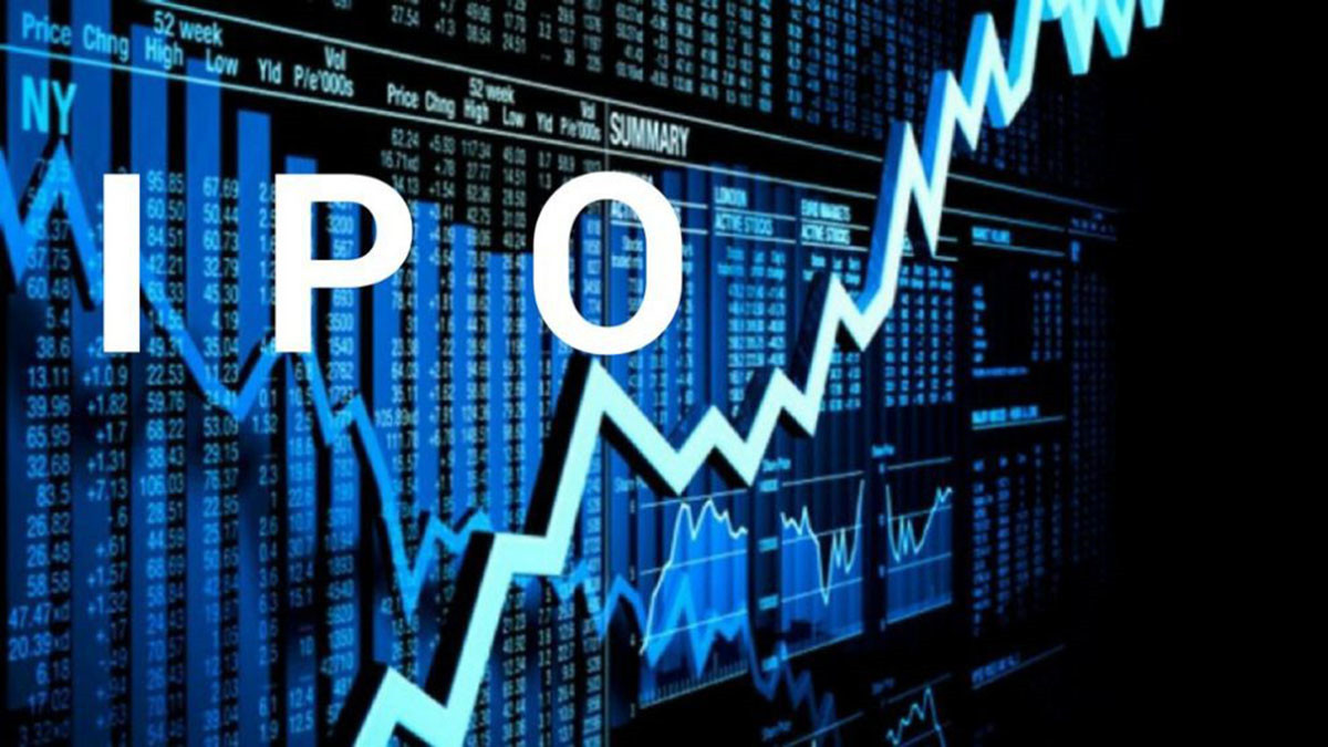 Initial Public Offering (IPO)