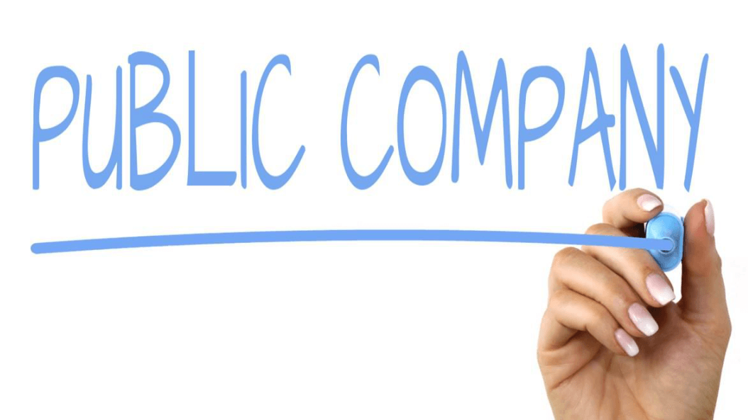 public company