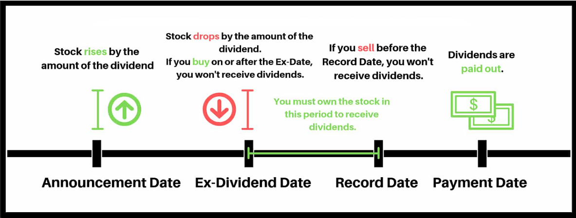 Four Must-Know Dates for Stock Dividends