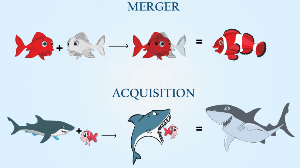 There are two types of M&A: mergers and acquisitions.