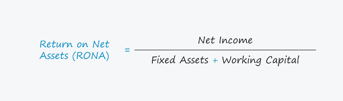 Return on net assets formula