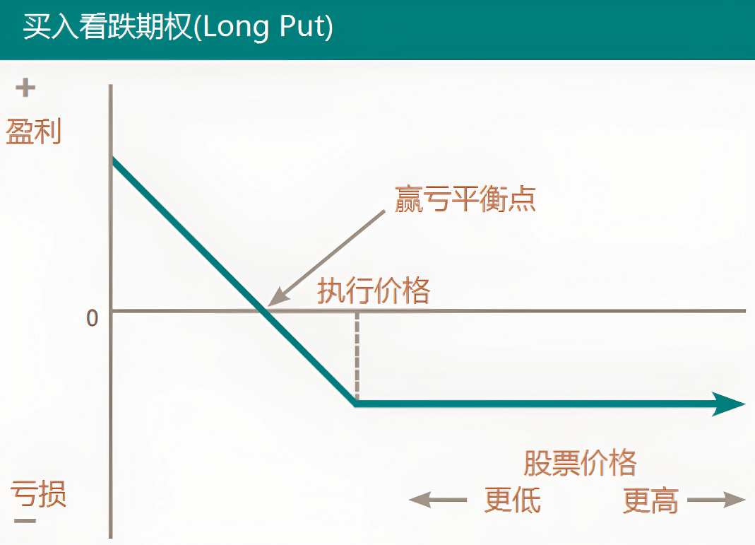 看跌期权（买入）