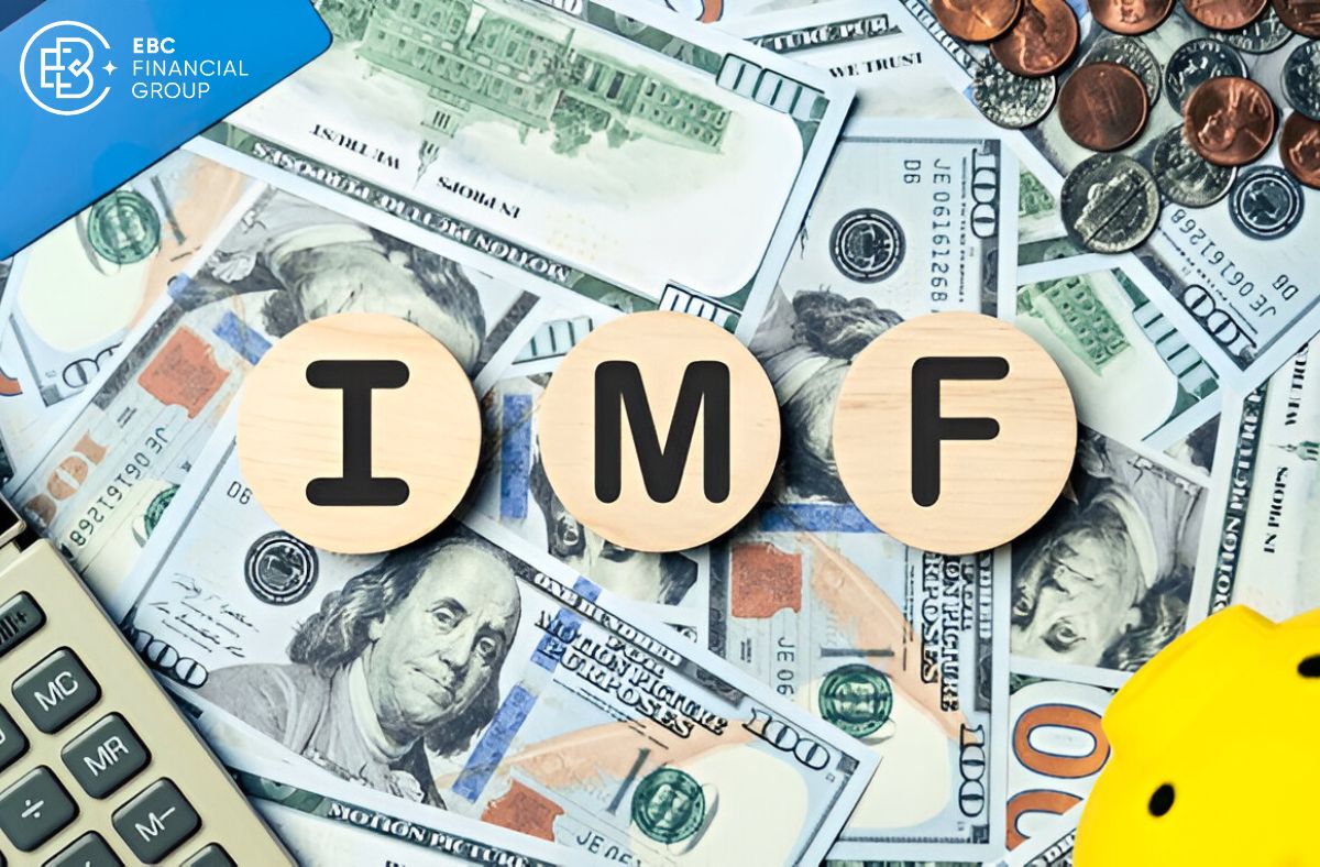 IMF là tên viết tắt của tổ chức nào? - EBC Financial Group