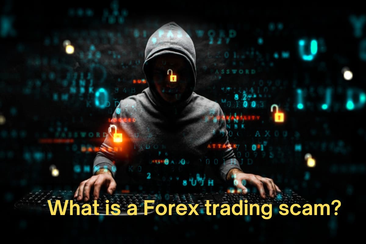 Real Life Examples of Forex Scams - EBC