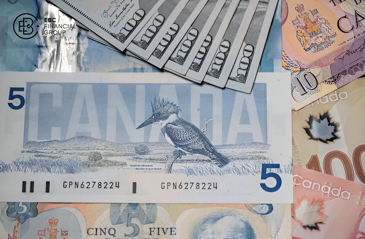 Tỷ giá giữa Đô la Mỹ và Đô la Canada - EBC Financial Group