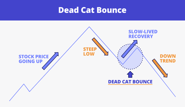 What Is a Dead Cat Bounce - EBC