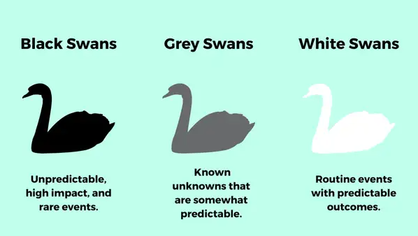 Black Swan vs White Swan - EBC