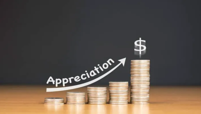 What Is Currency Appreciation