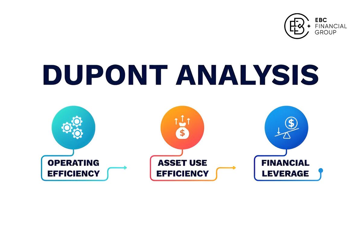 Phương pháp phân tích Dupond là gì? - EBC Financial Group