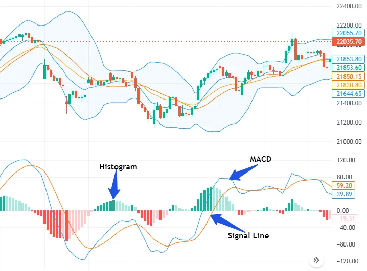Best Indicator for Option Trading
