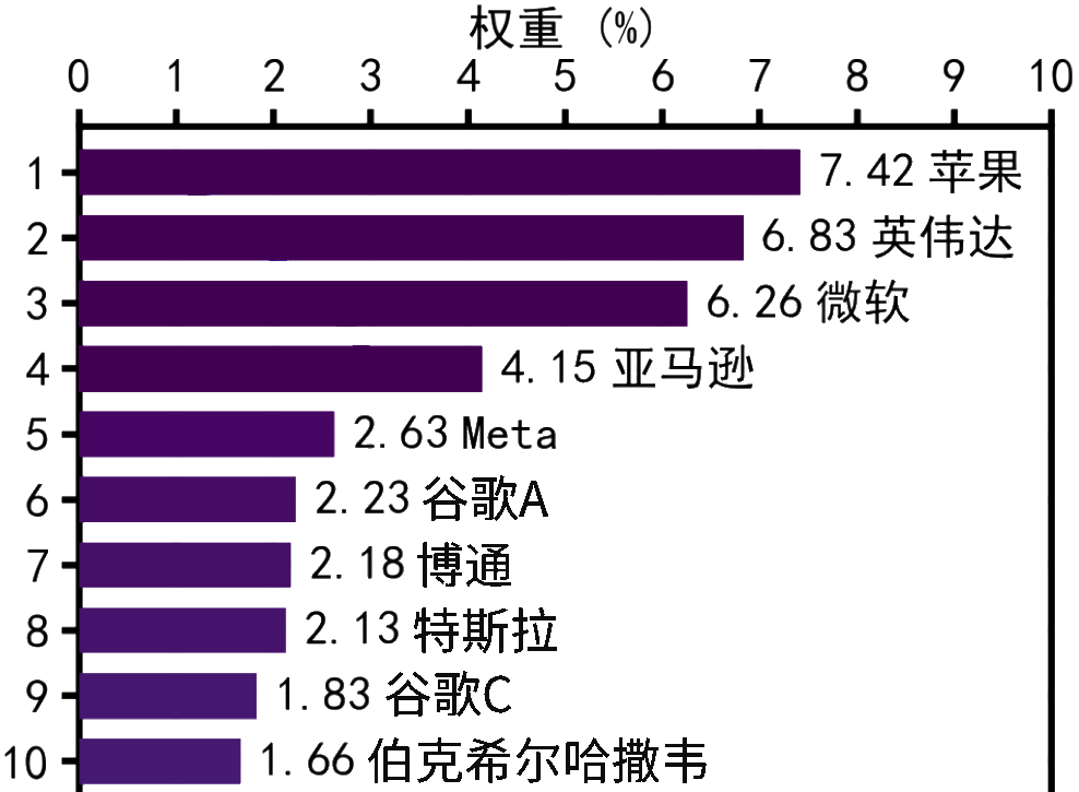 标普500成分股前十权重（2025年1月）
