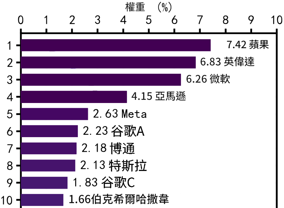 標普500成分股前十權重（2025年1月）