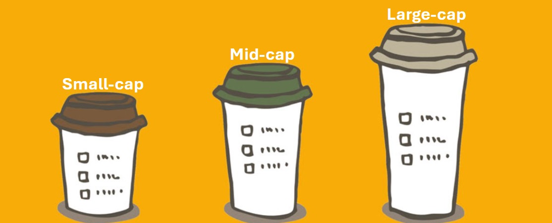 Three Types of Market Capitalisation