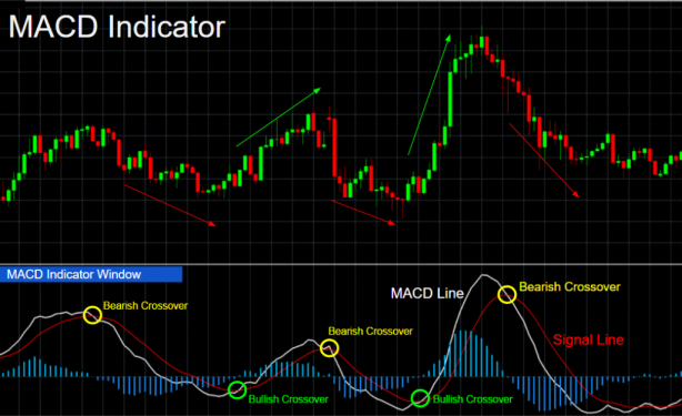 MACD Trading Strategy