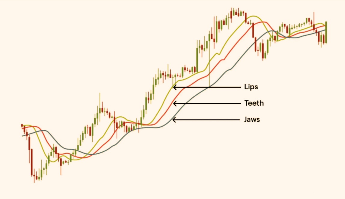 Example of the Williams Alligator Indicator