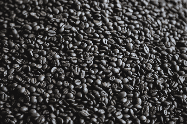 Granos de café recién cosechados, materia prima agrícola fundamental en el comercio internacional