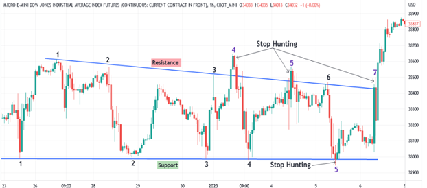Stop Loss Hunting