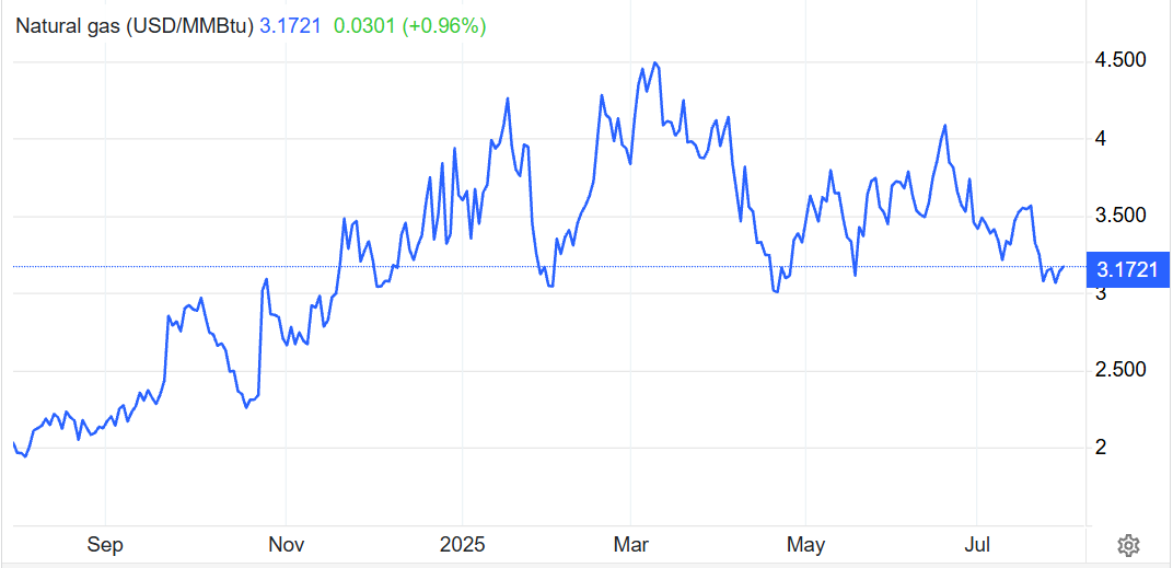 XNGUSD Price over the Year