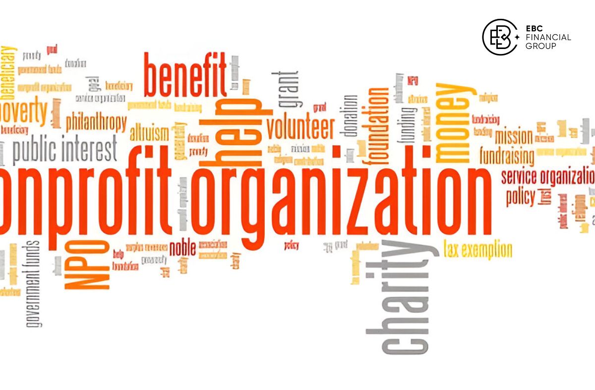 Non-profit organization (NPO) là gì?