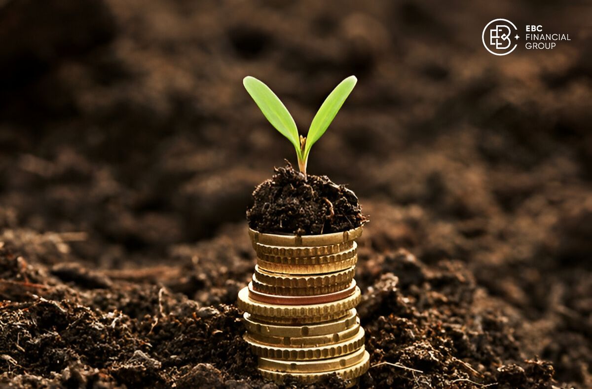 Công thức và cách tính deposit interest rate
