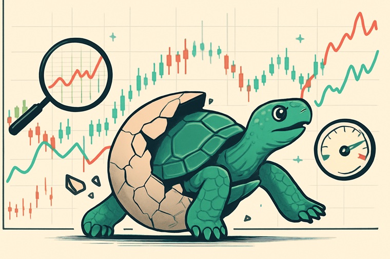 Way of the Turtle