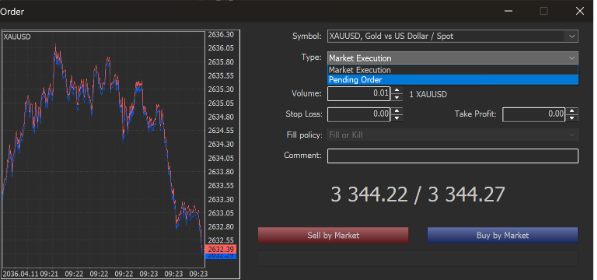The Market Execution and Pending Order Options