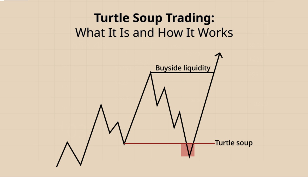 Turtle Soup Trading - What it is and how it works