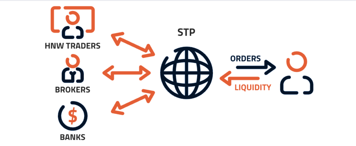 STP Brokers in Forex