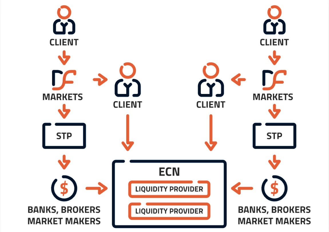 ECN Broker in Forex