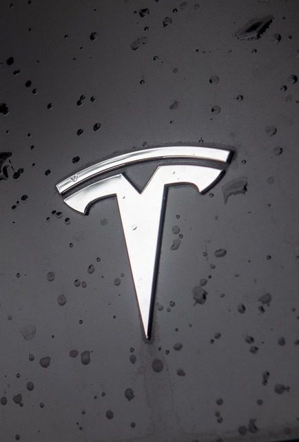 logo de Tesla, líder en autos eléctricos