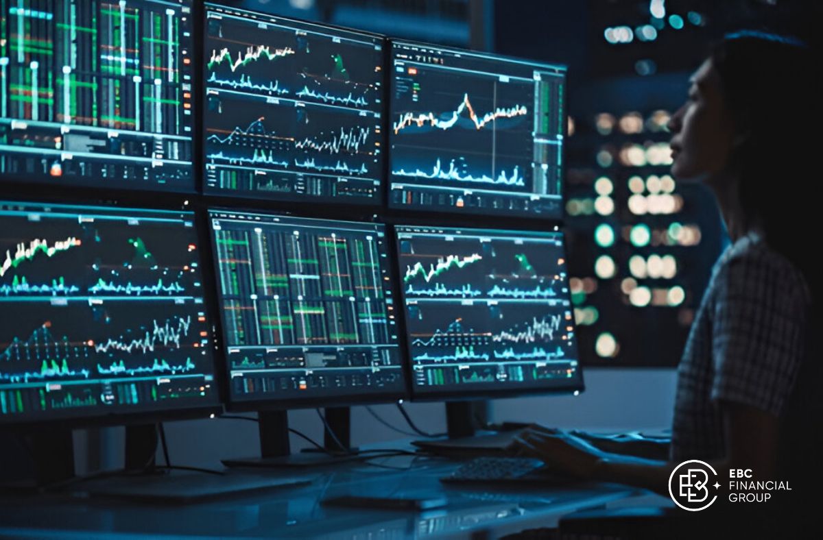Vai trò của nhà đầu tư