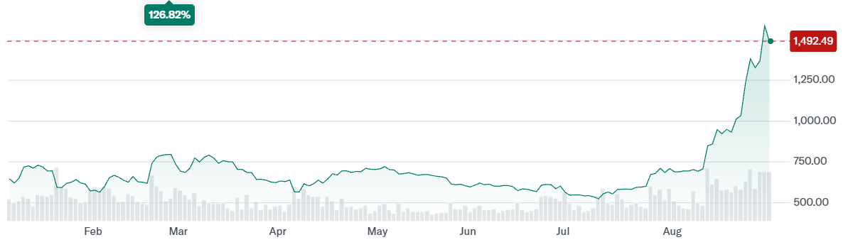 Cambricon Stock Price over the Last Year